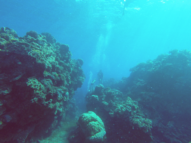 diving
